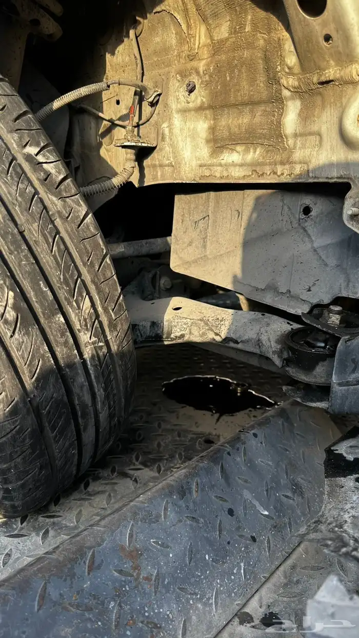 شانجان ايدو 15