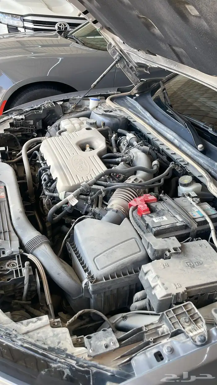 تورس امبيانتي 2023 13