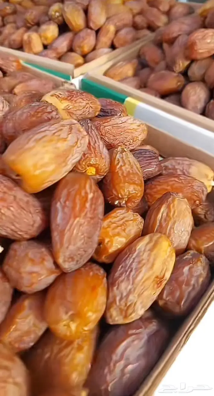 تمر سكري - صقعي - جلكسي - مجدول . 3