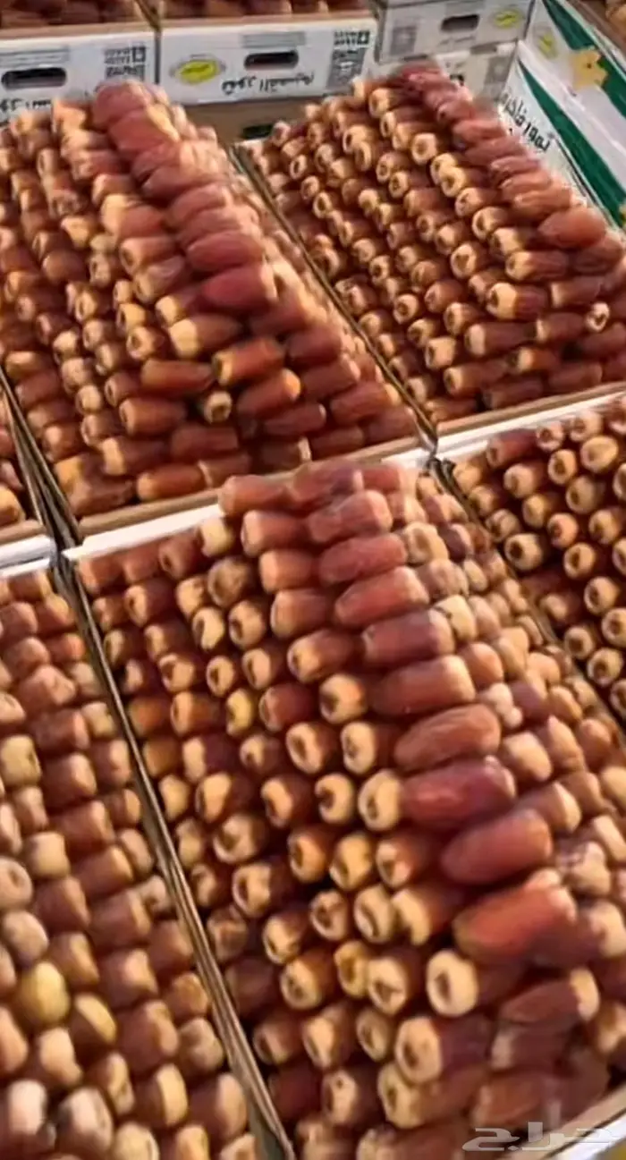 تمر سكري - صقعي - جلكسي - مجدول . 1