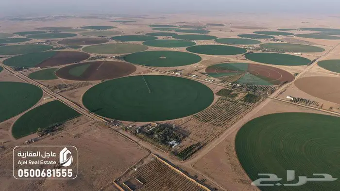 مزرعة للبيع بحائل في الوبريات 0