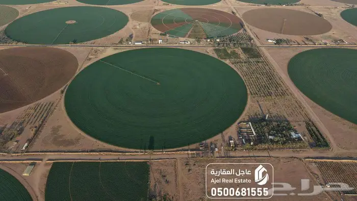 مزرعة للبيع بحائل في الوبريات 20