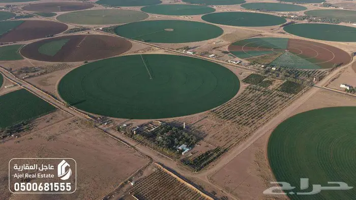 مزرعة للبيع بحائل في الوبريات 7