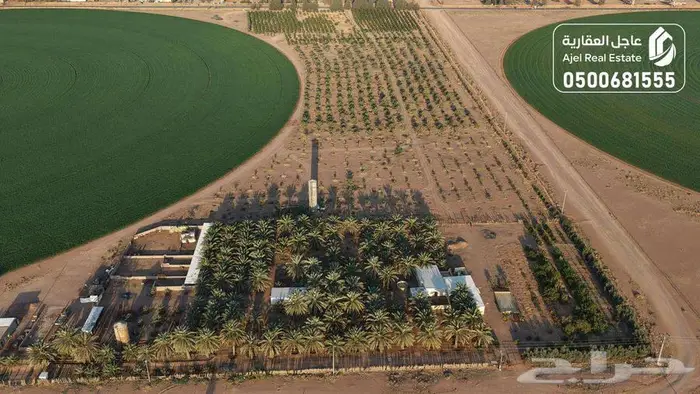 مزرعة للبيع بحائل في الوبريات 16