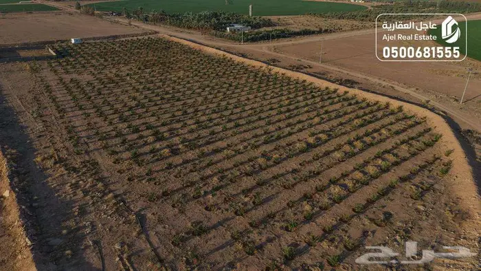 مزرعة للبيع بحائل في الوبريات 3