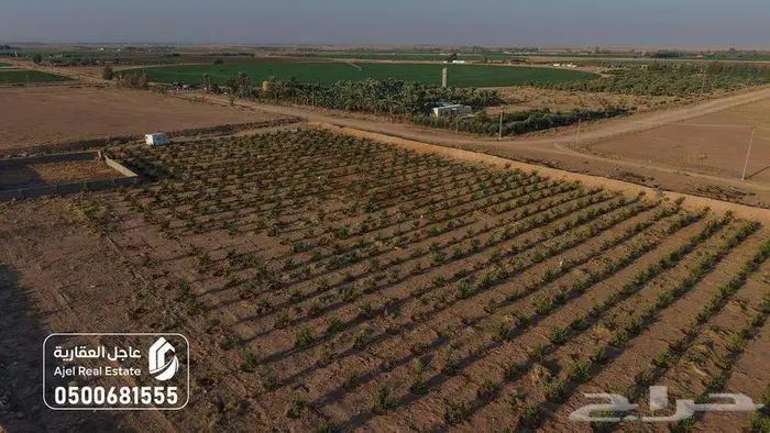 مزرعة للبيع بحائل في الوبريات 12