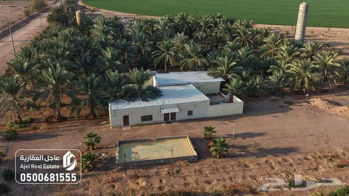 مزرعة للبيع بحائل في الوبريات 11