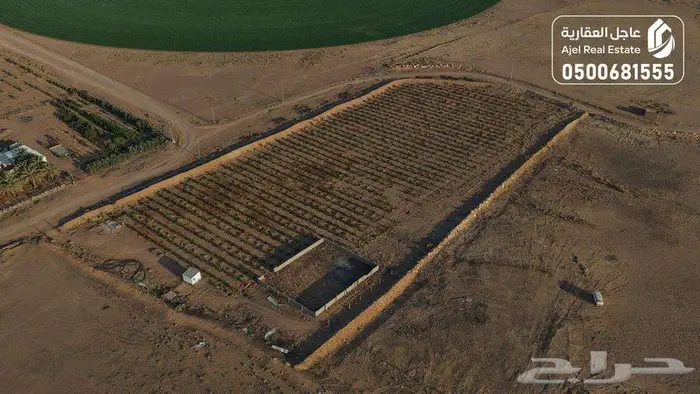 مزرعة للبيع بحائل في الوبريات 24