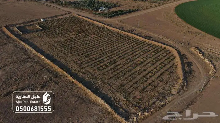 مزرعة للبيع بحائل في الوبريات 8