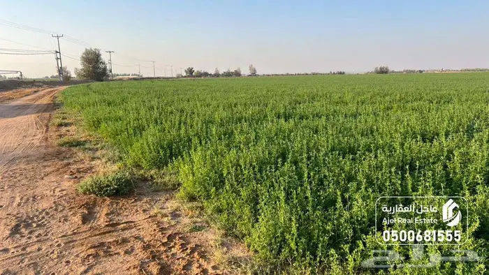 مزرعة للبيع بحائل في الوبريات 19