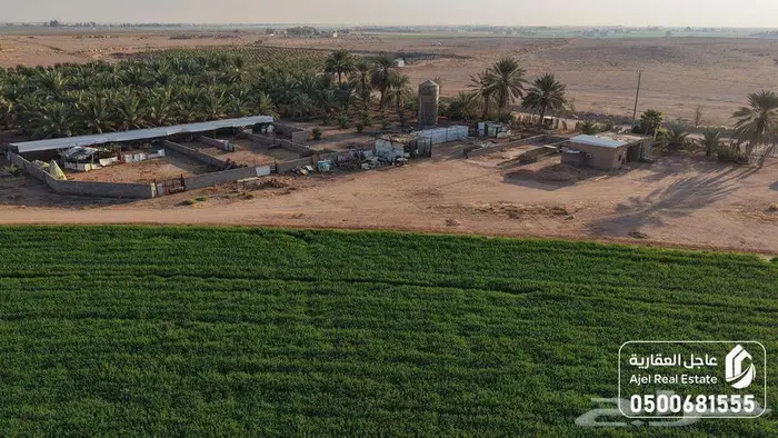 مزرعة للبيع بحائل في الوبريات 13