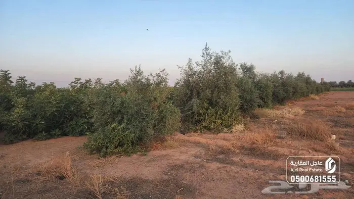 مزرعة للبيع بحائل في الوبريات 26