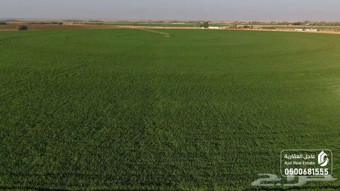 مزرعة للبيع بحائل في الوبريات 21