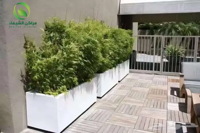 احواض زرع كبيرة الهفوف جاهزة فايبر بسعر المصنع 1