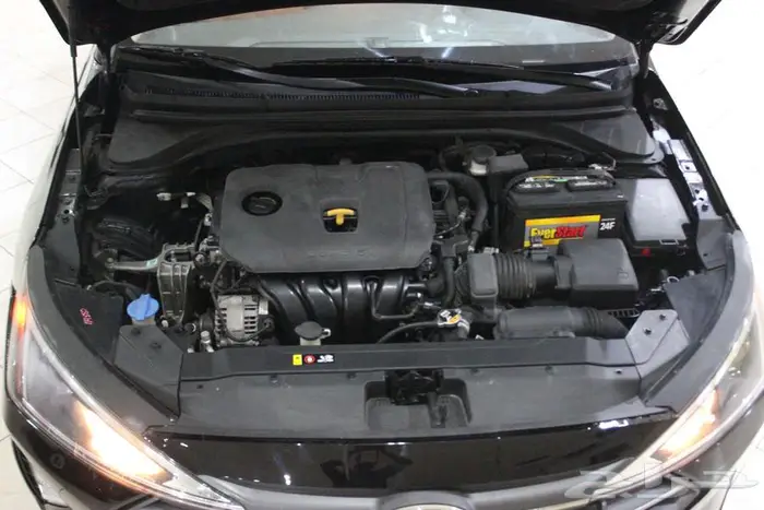 النتراء 2020 اسود بطاقة جمركية نص فل 46