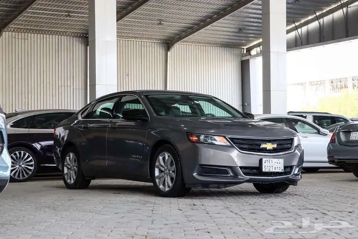 شفر امبالا 2019 LS 2