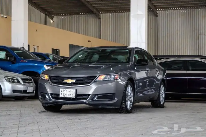 شفر امبالا 2019 LS 1