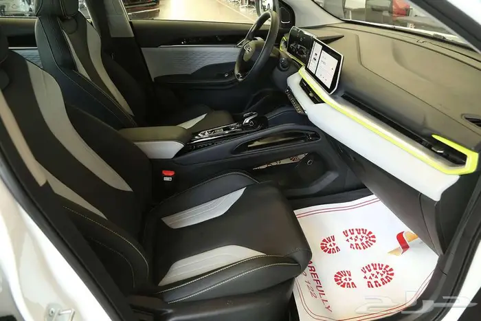 جيلي كولراي GS بيسك 2025 5