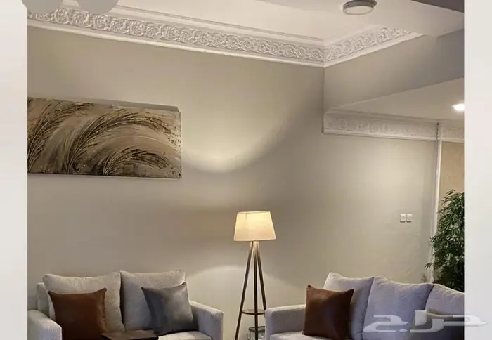 اريد شقه للإيجار بطحاء قريش وماحولها 0