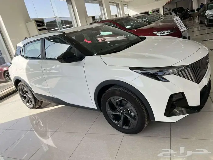 جي اي سي GAC امزوم 2025 ستاندر 2