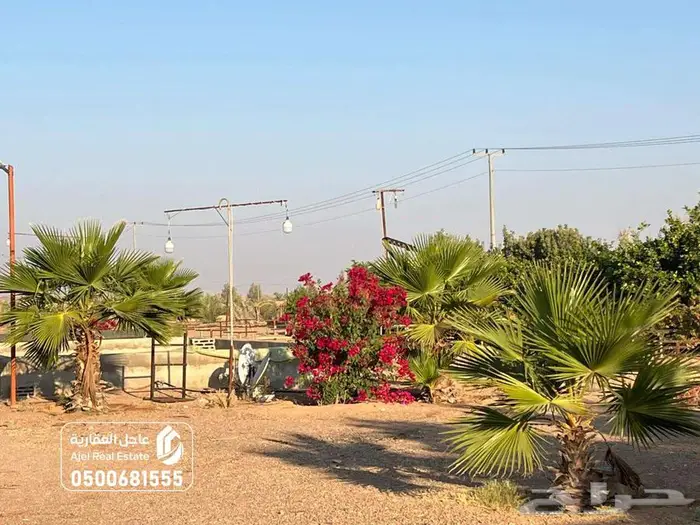 مزرعة للبيع بحائل في الوبريات 2