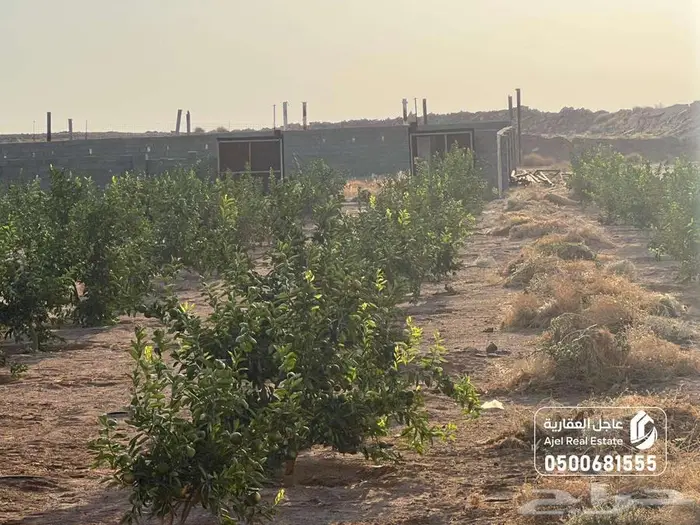 مزرعة للبيع بحائل في الوبريات 5