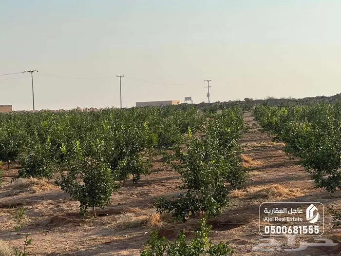 مزرعة للبيع بحائل في الوبريات 15