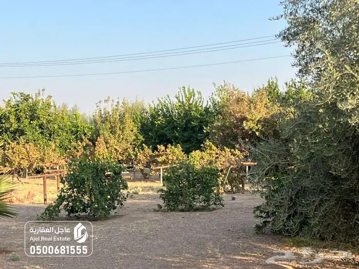 مزرعة للبيع بحائل في الوبريات 10