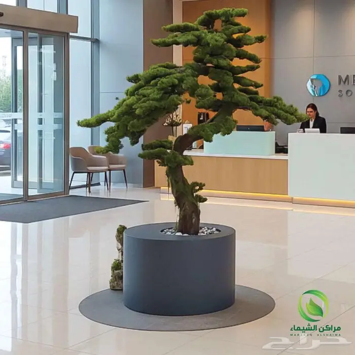 احواض القطيف جاهزة كبيرة للزراعة فايبر ومراكن اشجار 19