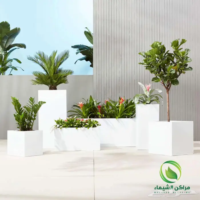 احواض زرع كبيرة الهفوف جاهزة فايبر بسعر المصنع 34