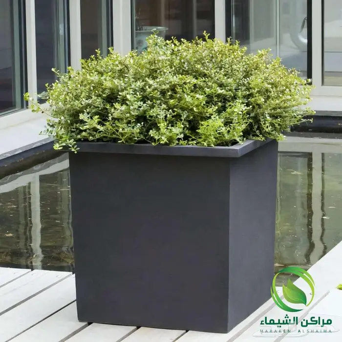 احواض زرع كبيرة الهفوف جاهزة فايبر بسعر المصنع 19