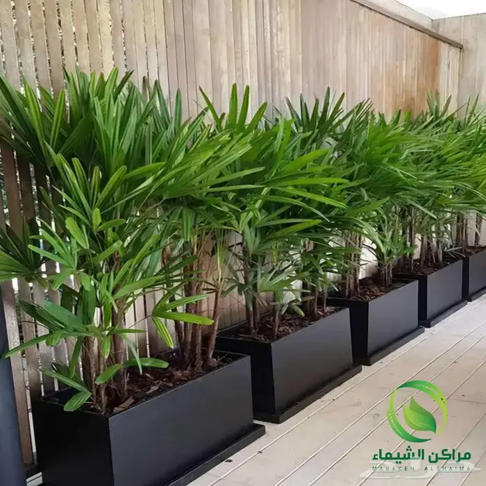 احواض زرع كبيرة الهفوف جاهزة فايبر بسعر المصنع 12