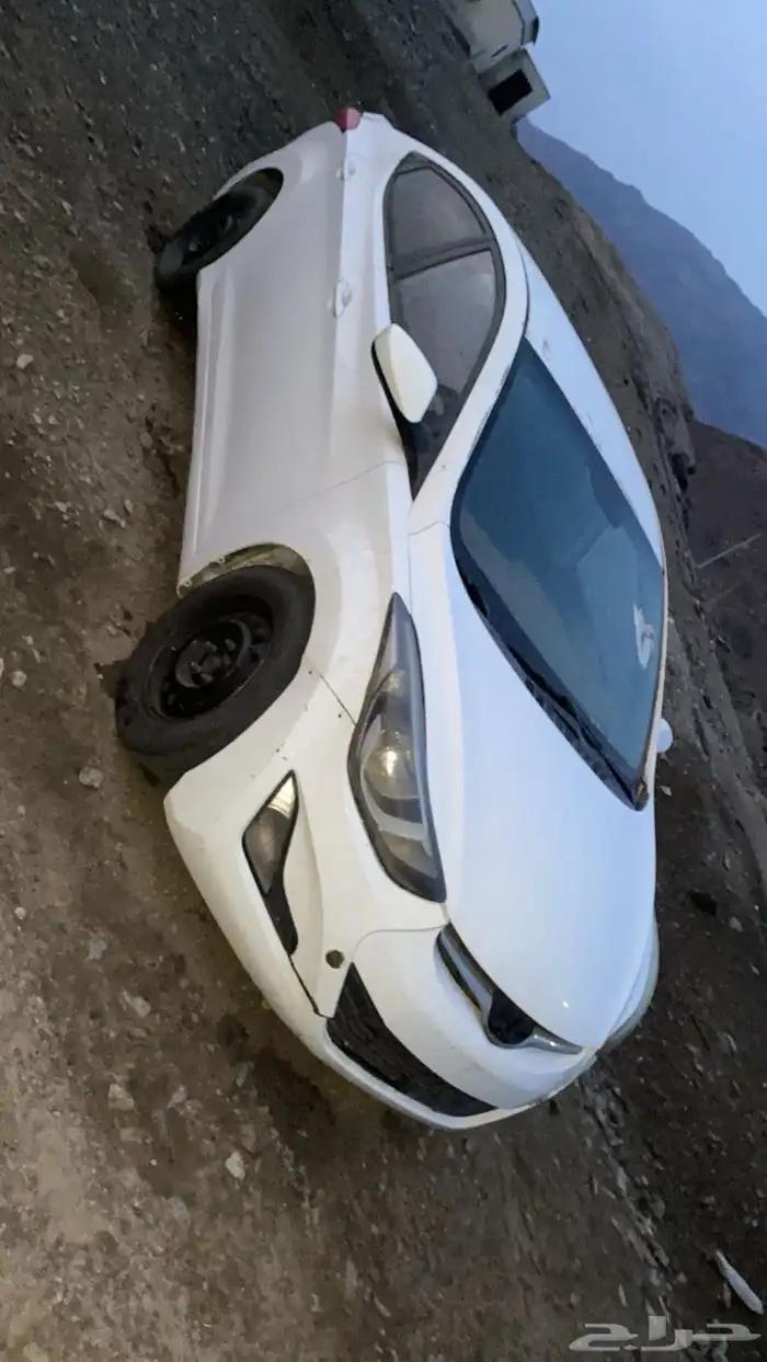 إل النترا 2014 1