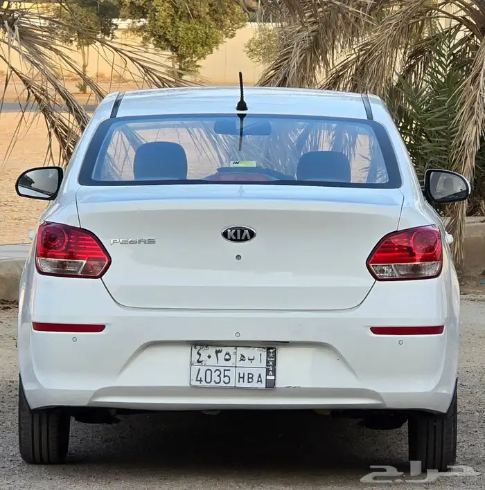 بيجاس 2020 إستاندر 4