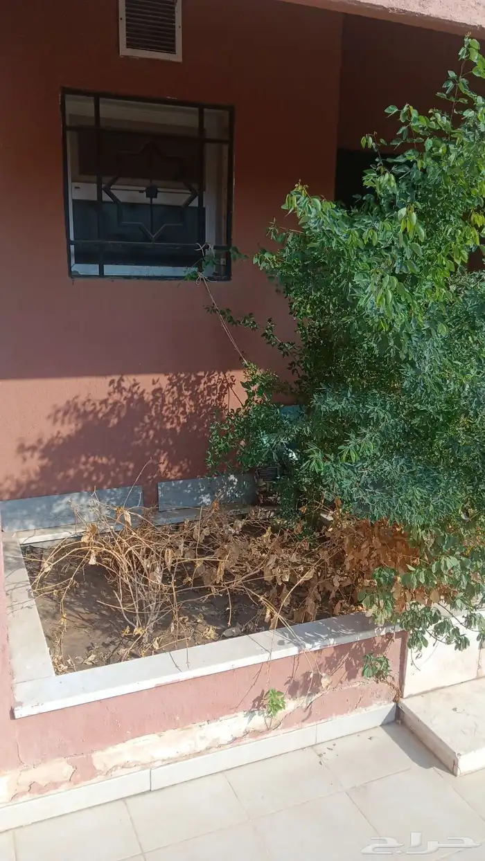 زراعة الأحواض 10