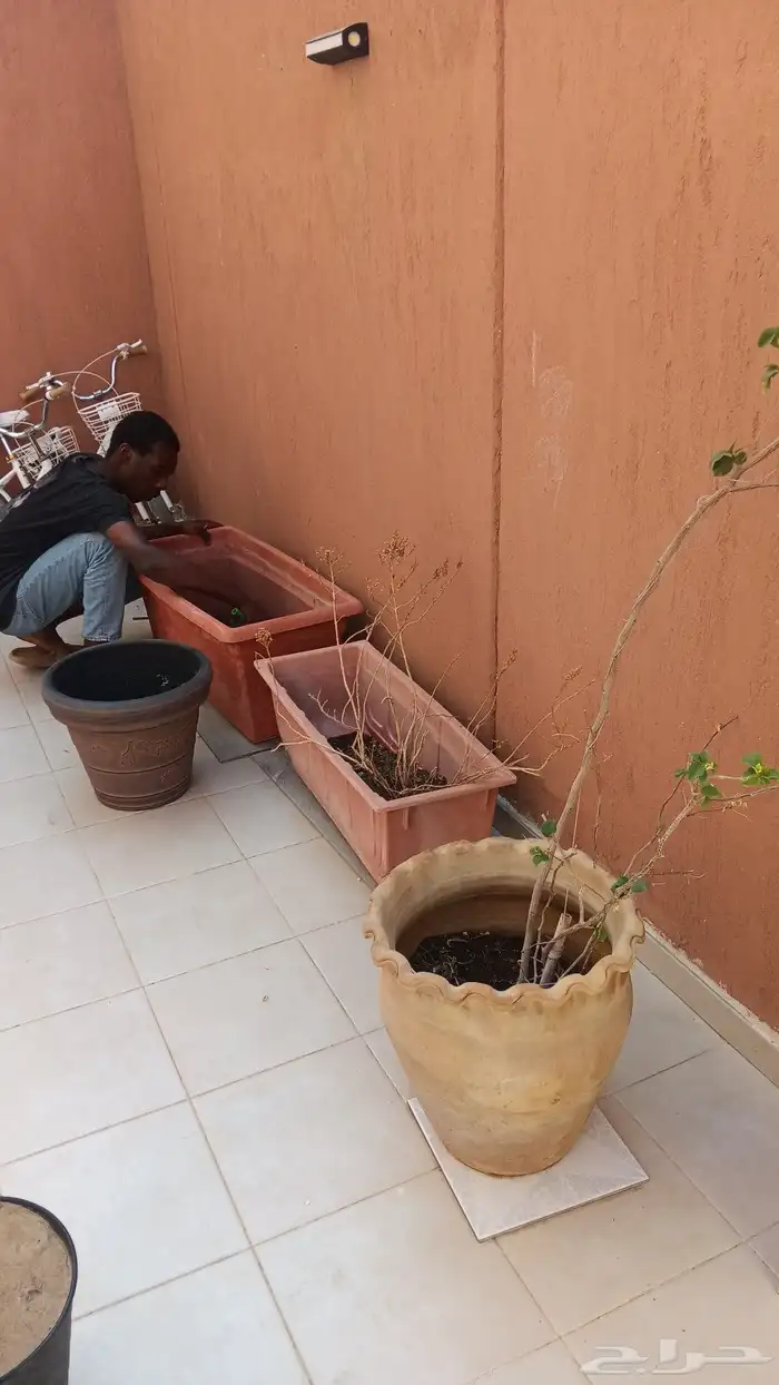 زراعة الأحواض 14