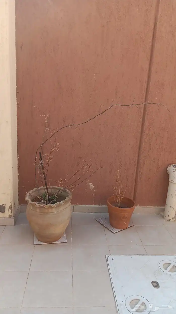 زراعة الأحواض 13