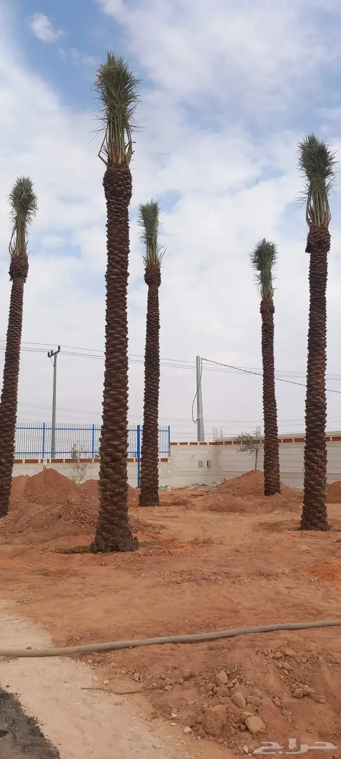 هذا من تنفيذ أعمالنا لتواصل 6