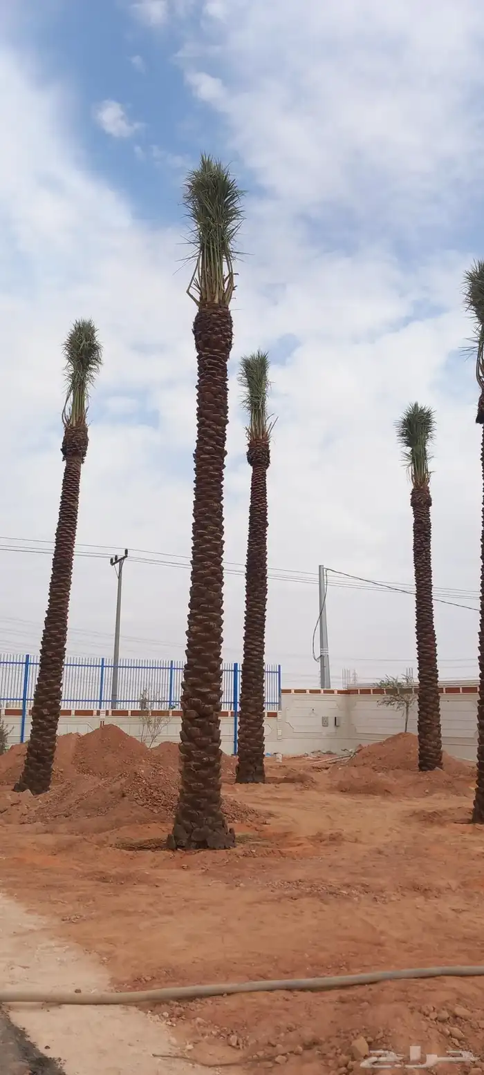 هذا من تنفيذ أعمالنا لتواصل 8