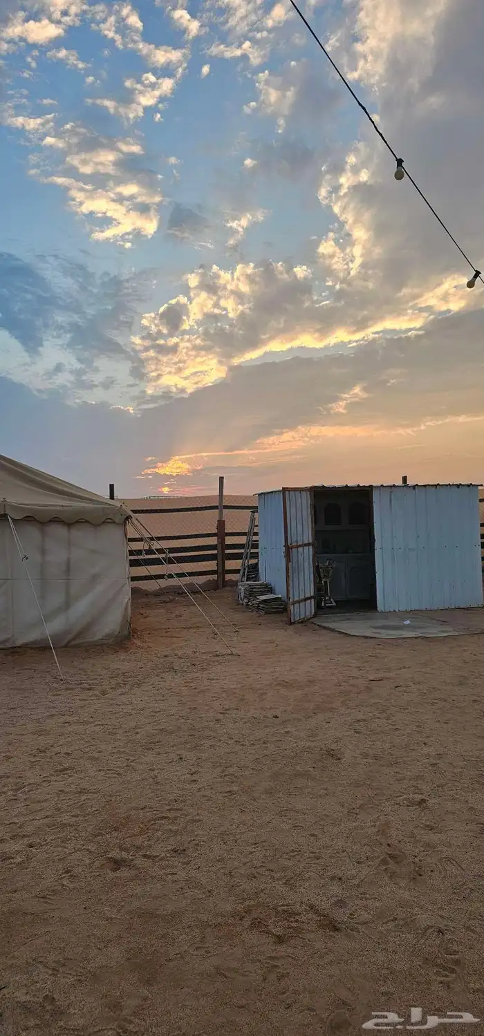 مخيم للإيجار اليومي والشهري 6