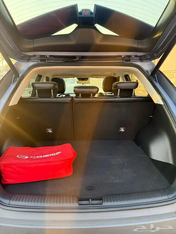 Jack Emzoom 2024 GAC S3 EMZOOM 12