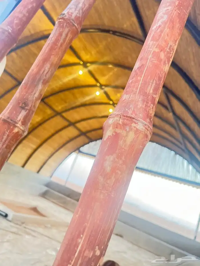 تجهيز مخيمات في مخطط الراجحي علا طريق الرين 3