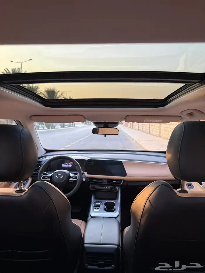 Jack Emzoom 2024 GAC S3 EMZOOM 5