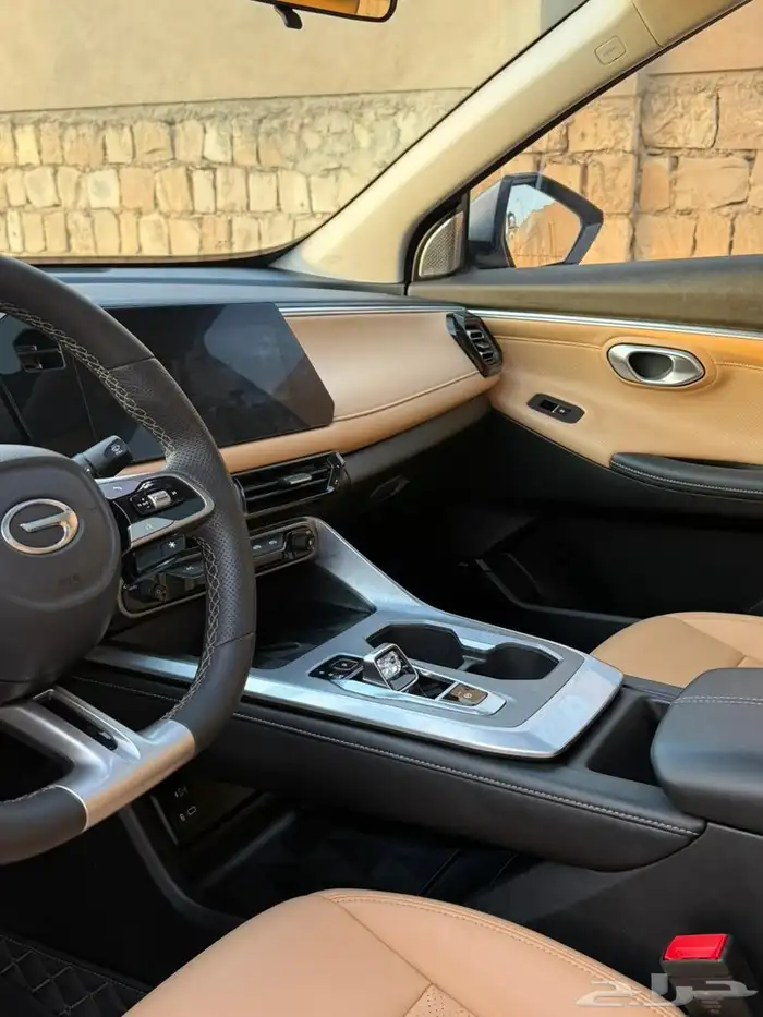 Jack Emzoom 2024 GAC S3 EMZOOM 10