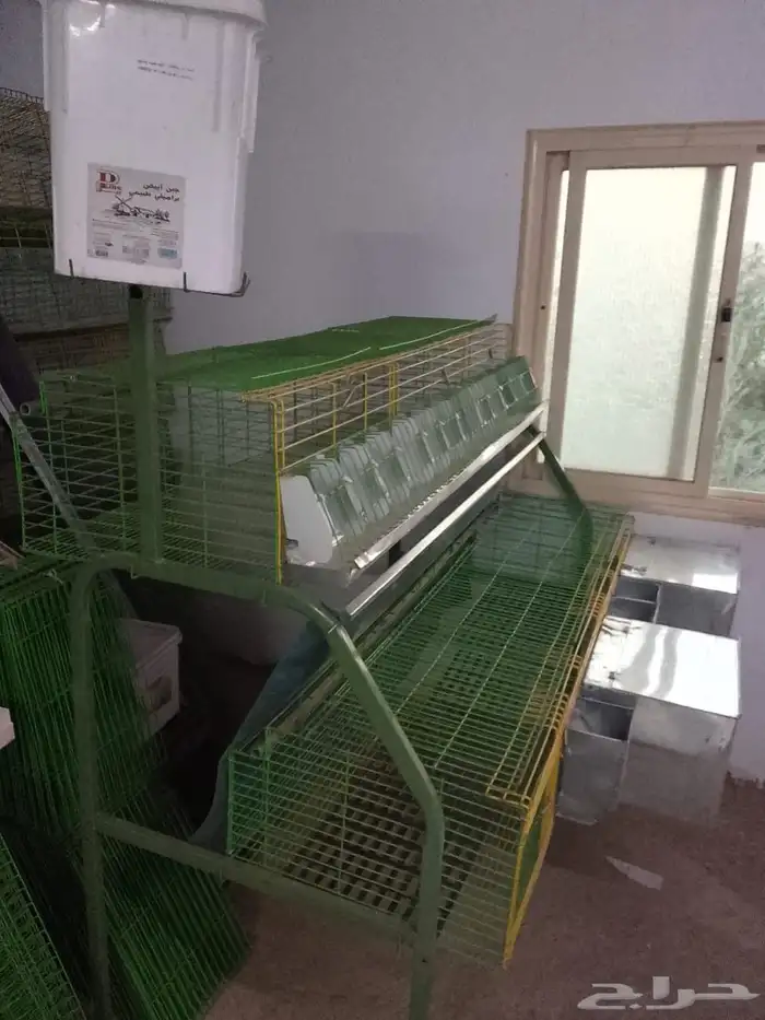 بطاريات ارانب 0