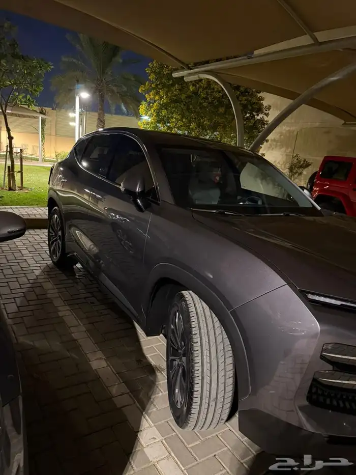 جيتور داشينج 2025 2