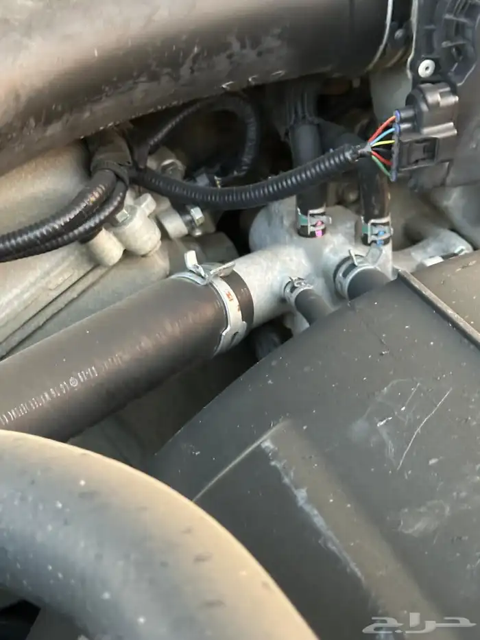 للبيع شاص ( فئه ال 60 عام ممشى قليل ونضيف ) 23