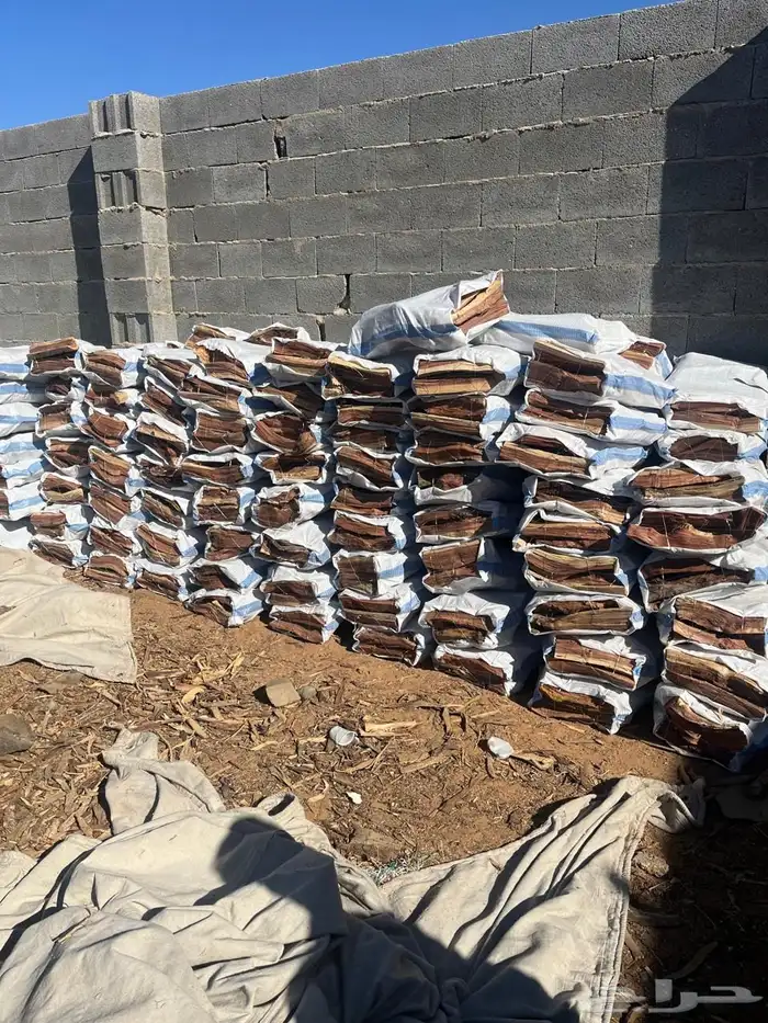 مستورد المدينه حطب شلايخ شرط حيشه تجي 13 كيلو 5