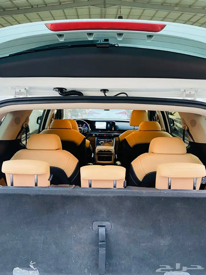 كرنفال 2021 (ديزل) 9مقاعد وارد كوريا 12