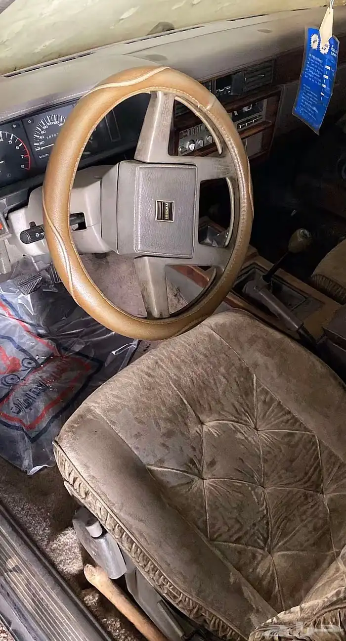 سيدرك نظيفه 5